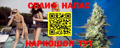 прущие крисы Владикавказ