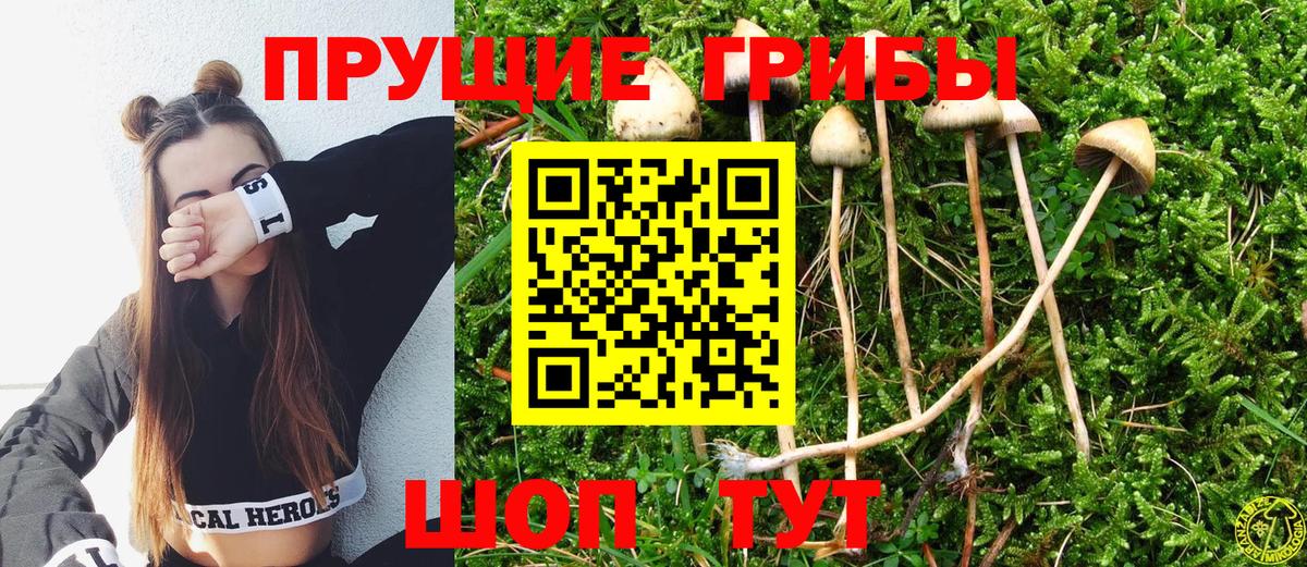 продажа наркотиков  Вход с VPN  Нурлат  Псилоцибиновые грибы Psilocybe 