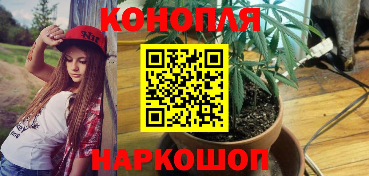Бошки марихуана план  Бошки марихуана марихуана  Бошки марихуана MAZAR  Каннабис ГИДРОПОН  Нурлат  Вход с VPN 